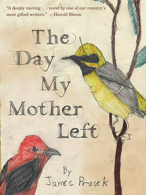 Book cover for The Day My Mother Left