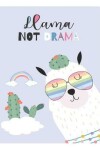 Book cover for Llama Not Drama
