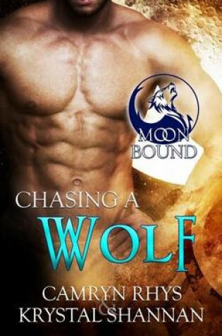 Cover of Chasing a Wolf