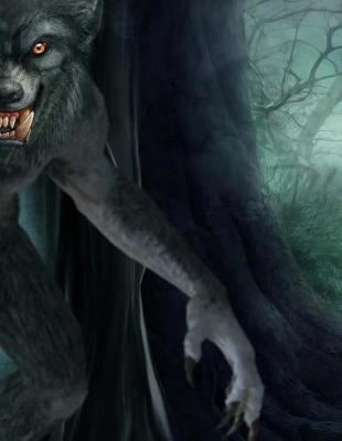 Book cover for Werewolf