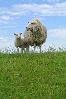 Book cover for Sheep and Lamb in a Meadow, for the Love of Animals