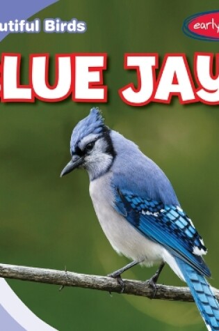 Cover of Blue Jays