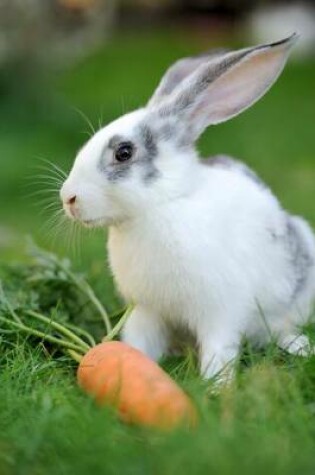 Cover of White and Gray Rabbit with a Carrot Journal