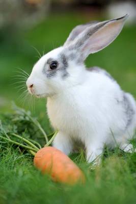 Book cover for White and Gray Rabbit with a Carrot Journal