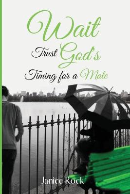 Book cover for Wait Trust Gods Timing for a Mate