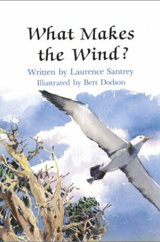 Cover of What Makes the Wind?