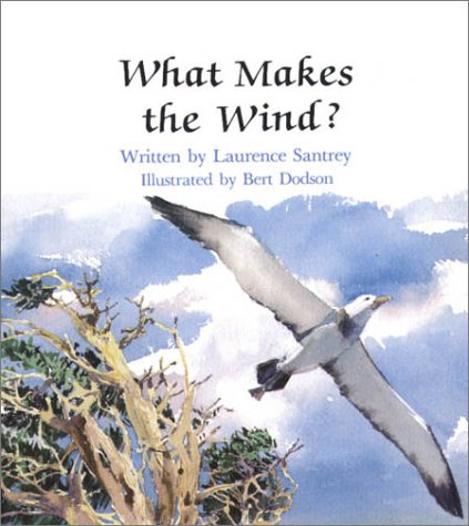 Book cover for What Makes the Wind?