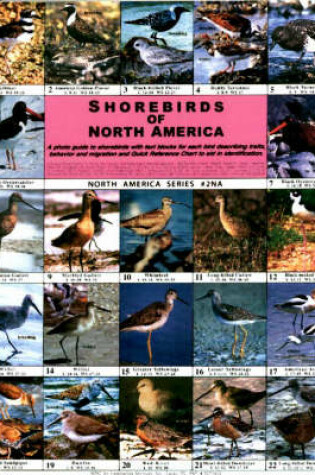 Cover of Shorebirds of North America