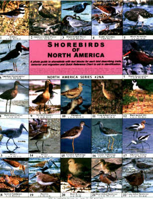 Cover of Shorebirds of North America