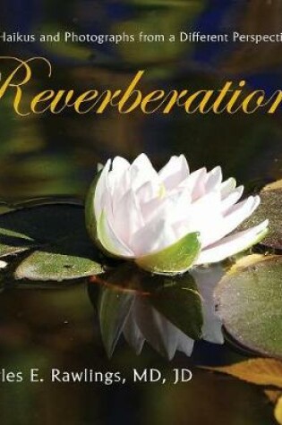 Cover of Reverberations