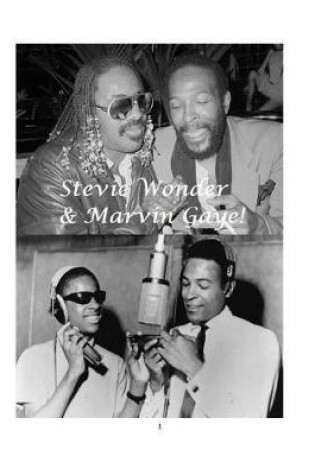 Cover of Stevie Wonder & Marvin Gaye!