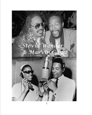 Book cover for Stevie Wonder & Marvin Gaye!