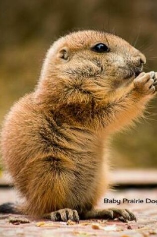 Cover of Baby Prairie Dog