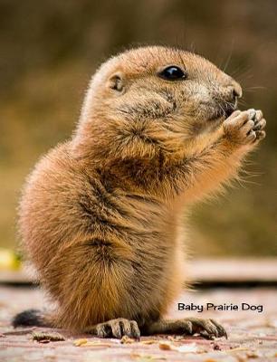 Book cover for Baby Prairie Dog