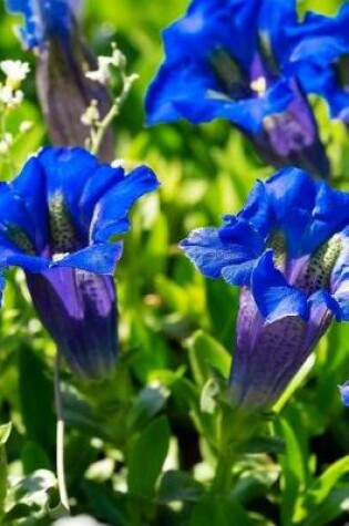 Cover of Blue Gentiana Flowers in a Field Journal