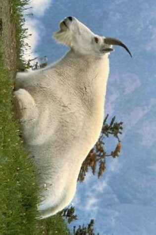 Cover of Mountain Goat (Oreamnos Americanus) in Glacier National Park, Montana