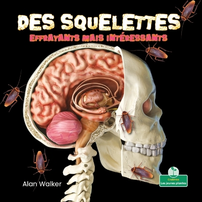 Book cover for Des Squelettes Effrayants Mais Intéressants (Creepy But Cool Skeletons)