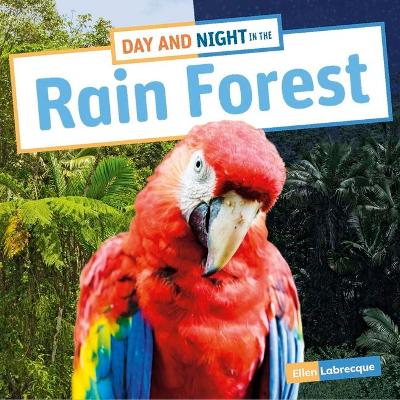 Book cover for Day and Night in the Rain Forest