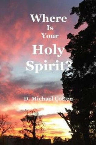 Cover of Where Is Your Holy Spirit?