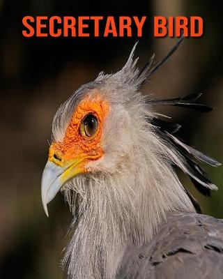 Book cover for Secretary Bird