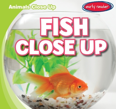 Book cover for Fish Close Up