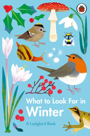 Cover of What to Look For in Winter