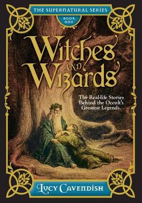 Book cover for Witches and Wizards