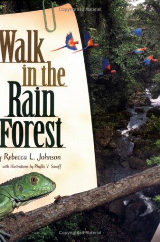 Cover of A Walk In The Rain Forest