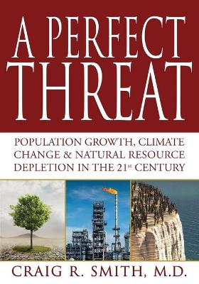 Book cover for A Perfect Threat