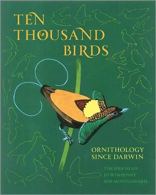 Book cover for Ten Thousand Birds