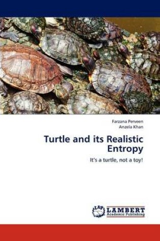 Cover of Turtle and its Realistic Entropy