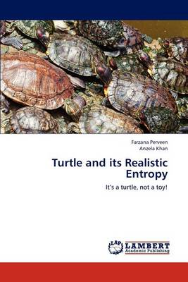 Book cover for Turtle and its Realistic Entropy