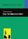 Book cover for Der Schummelreiter