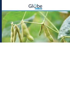 Book cover for Rainfall variability and risks of droughts during soybean cultivation