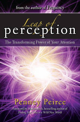 Book cover for Leap of Perception