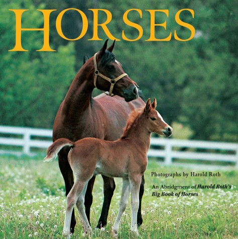 Book cover for Horses