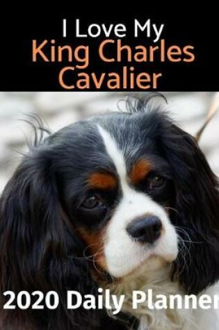 Cover of I Love My King Charles Cavalier