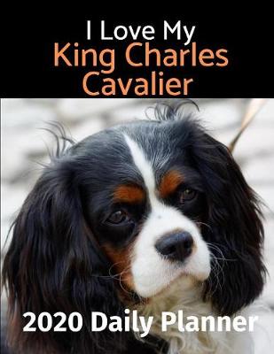 Cover of I Love My King Charles Cavalier