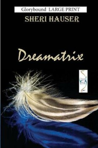 Cover of Dreamatrix Large Print