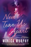 Book cover for Never Tear Us Apart