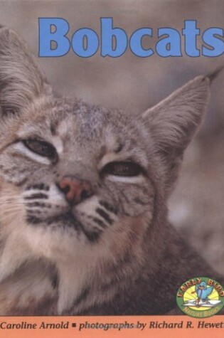 Cover of Bobcats