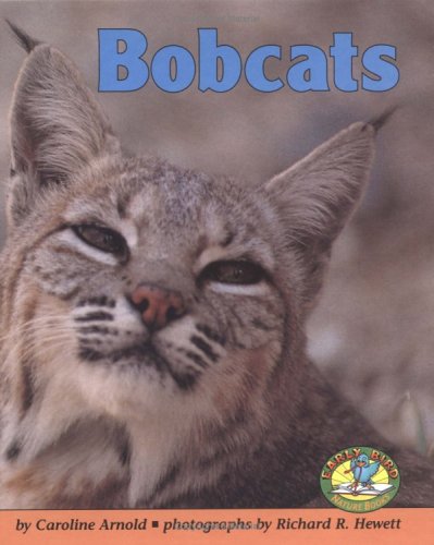 Book cover for Bobcats