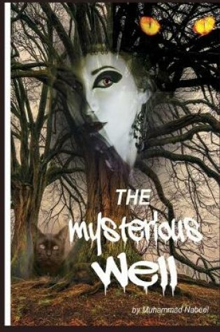 Cover of The Mysterious Well