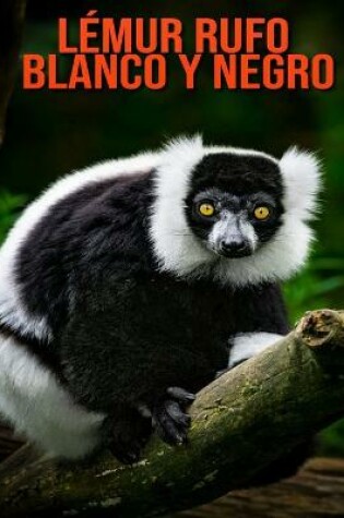 Cover of Lémur rufo blanco y negro