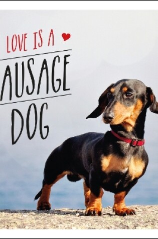 Cover of Love is a Sausage Dog