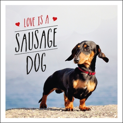 Book cover for Love is a Sausage Dog