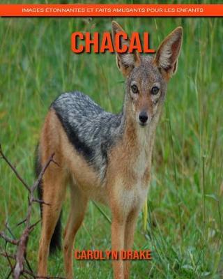 Book cover for Chacal