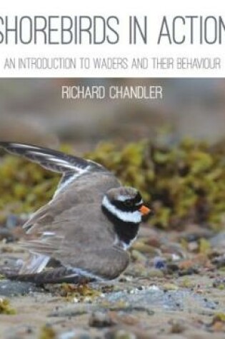 Cover of Shorebirds in Action