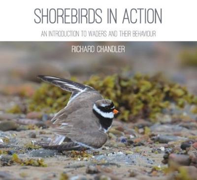 Book cover for Shorebirds in Action