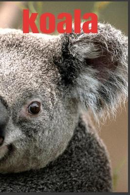 Book cover for koala
